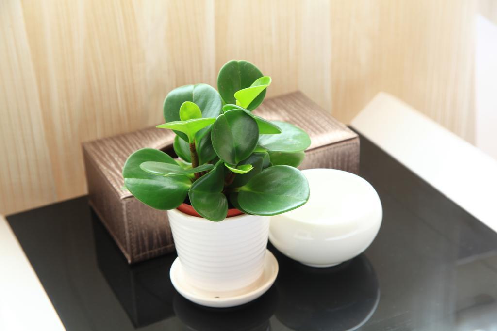 Shang Yuan Hotel Гуанджоу Стая снимка
